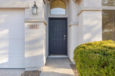 3853 E Derringer Way-4