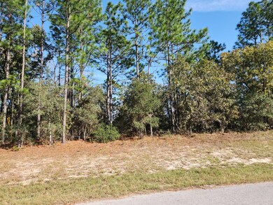 0 SW 60th Terrace unit R10848029, Ocala, FL 34473 - photo 4