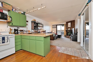 52 N Pistakee Lake Rd unit 8, Fox Lake, IL 60020 - photo 2