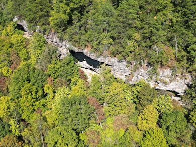 9999 Ohler Branch Rd, East Bernstadt, KY 40729 - photo 4