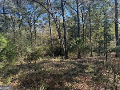 1240 Summit Dr, Watkinsville, GA 30677 - photo 6