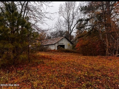 001tbd N Carolina 58, Nashville, NC 27856 - photo 6