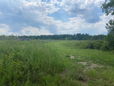 1793 Firetower Rd, Enigma, GA 31749 - photo 7