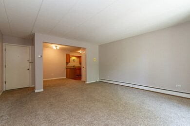 1220 S Lorraine Rd unit 2E, Wheaton, IL 60189 - photo 5