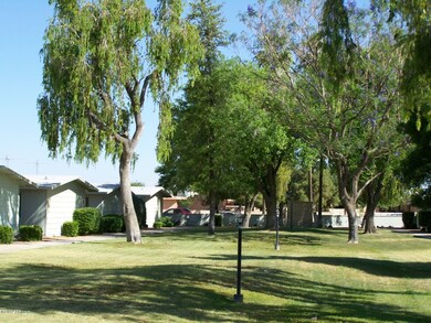 GRASS LANDSCAPE