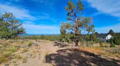 image0 (3)