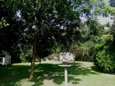 Backyard 2
