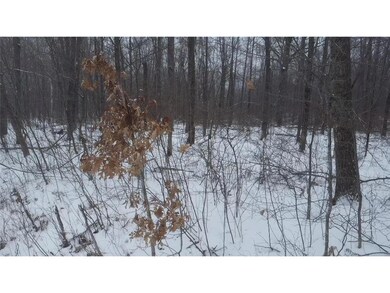 xxx N Reppert Rd, Weirgor, WI 54835 - photo 3