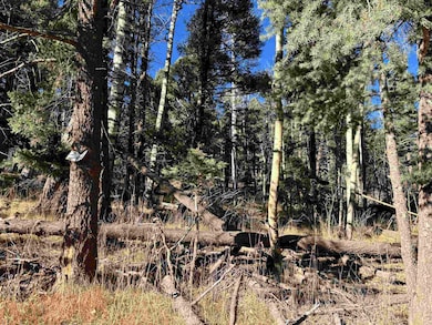 Lot 1490 Royal Ave, Angel Fire, NM 87710 - photo 6