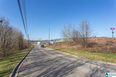 0 Friendship Rd unit 1 acre 835862, Oxford, AL 36203 - photo 7