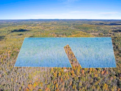 N16656 Dexter Rd, Beecher, WI 54156 - photo 2