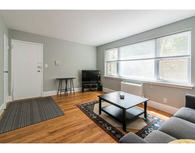 100 Morton St unit 52, Jamaica Plain, MA 02130 - photo 6