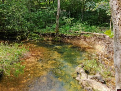 13-0.4-20-000-0 Cr 544, Caulfield, MO 65626 - photo 7