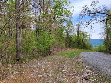 bluff view 2