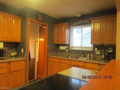 313 Thelma Dr, Sheffield Lake, OH 44054 - photo 6