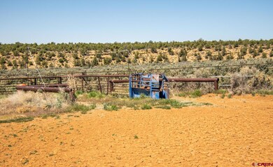 6548 County Road 100, Hesperus, CO 81326 - photo 7