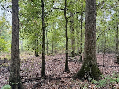 CR 2912 County Road 2912, Hughes Springs, TX 75656 - photo 2