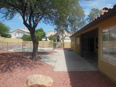 BACKYARD 1