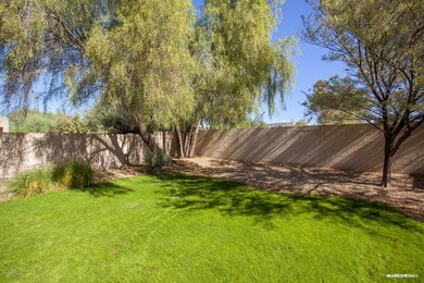 Plush green backyard