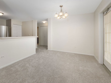 1309 Silverstone Dr unit 1305, Carpentersville, IL 60110 - photo 7