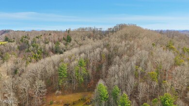 Tbd River Ln, Coeburn, VA 24230 - photo 7