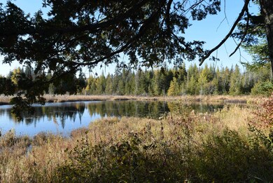 2175 Vt Route 15 Route, Walden, VT 05873 - photo 3