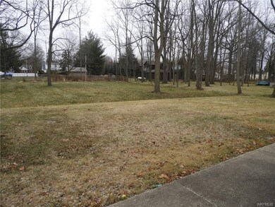 The back yard.