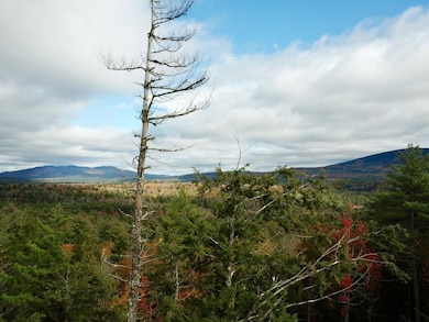 000 Shaker Rd unit 288, New London, NH 03257 - photo 6