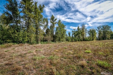 2753 E Badger Rd, Everson, WA 98247 - photo 6