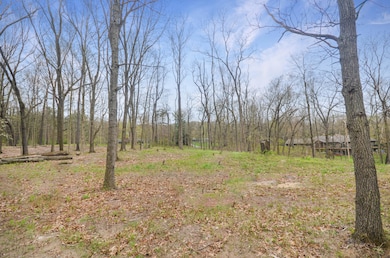 6029 Farhills Way, Alamo Township, MI 49009 - photo 3