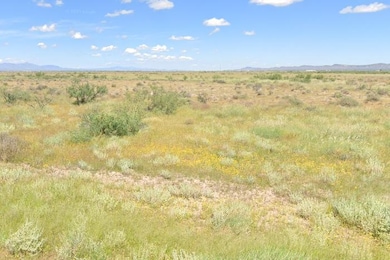 Acequia Rd, Akela, NM 88030 - photo 3