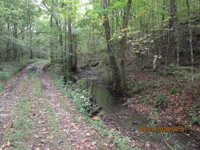 1 Greenfield Rd, Prospect, TN 38477 - photo 7