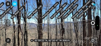 15 +/- Acres Riddle Branch Rd, Burnsville, NC 28714 - photo 5