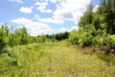 0 Valley View Extension unit 10 4846036, Andover, VT 05143 - photo 3