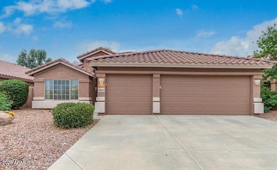 51st Front Yard