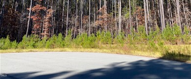 586 Anneliis Ln, Siler City, NC 27344 - photo 5