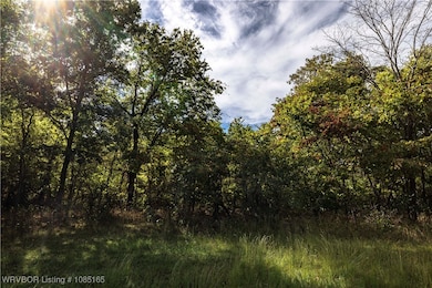 TRACT 2 SE 575, Locust Grove, OK 74352 - photo 5