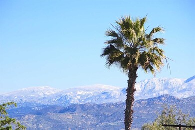 If this were a portrait, it would be named Palm an