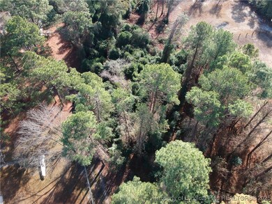 0 Blake Drive and Off Highway 401 Dr, Raeford, NC 28376 - photo 6