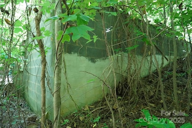 2899 Golden Bell Ln, Hudson, NC 28638 - photo 5