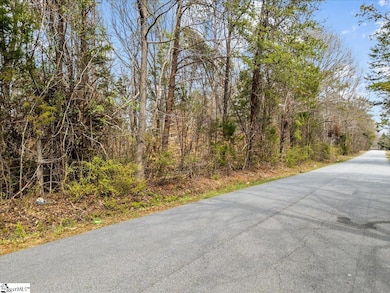 0 S Garrison Rd, Simpsonville, SC 29680 - photo 2
