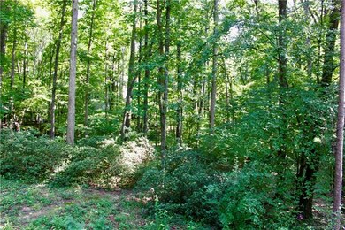View of the natural area from deck