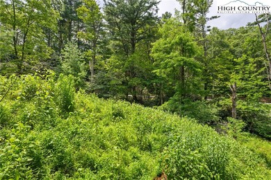 Lots 127, 128, 129 Cone Rd, Blowing Rock, NC 28605 - photo 6