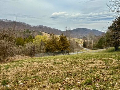 _Pic4 (55)