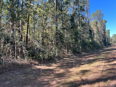 162 Meadow Ln, Livingston, TX 77351 - photo 2