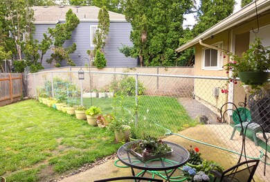 Backyards