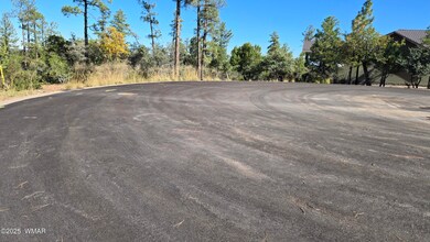 440 E Stoneridge Cir, Show Low, AZ 85901 - photo 7