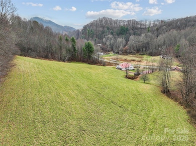 456 Windy Gap Rd, Mars Hill, NC 28754 - photo 6