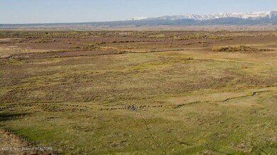 40acres1