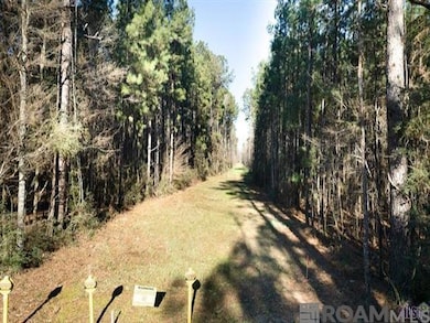 Tract V-4 Jim Price Rd, Greenwel Springs, LA 70739 - photo 7